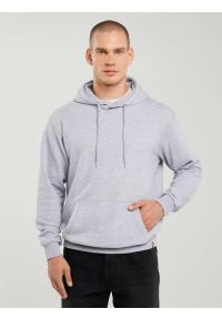 Big-Star - Bluza męska z kapturem szara Litson 901. Typ kołnierza: kaptur. Kolor: szary. Materiał: żakard, bawełna, poliester