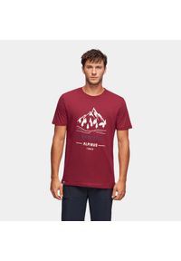 Koszulka trekkingowa męska Alpinus Polaris bordowa. Kolor: brązowy, wielokolorowy, czerwony #1
