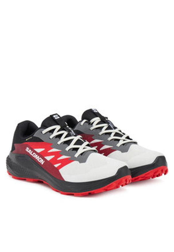 salomon - Salomon Buty do biegania Alphaglide Gore-Tex L47802200 Szary. Kolor: szary. Materiał: materiał. Technologia: Gore-Tex