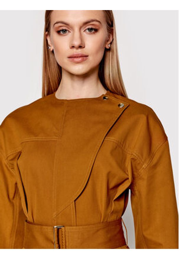 Victoria Victoria Beckham Sukienka codzienna 1122WDR003327C Brązowy Regular Fit. Okazja: na co dzień. Kolor: brązowy. Materiał: bawełna. Typ sukienki: proste. Styl: casual