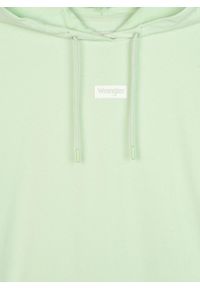 Wrangler - WRANGLER LOGO HOODIE MĘSKA BLUZA GREEN SPRAY W6C4HLXHR 112130707 #2