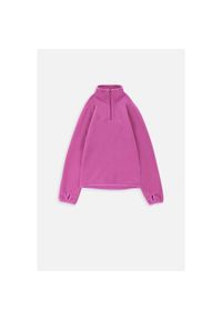 Polar turystyczny dziewczęcy bluza rozpinana Lemon Explore ZL3. Typ kołnierza: kołnierzyk stójkowy, bez kaptura. Kolor: różowy. Materiał: poliester. Długość rękawa: długi rękaw. Długość: długie. Sport: turystyka piesza