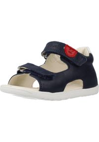 Sandały Geox Model B Sandal Macchia Boy Kolor Niebieski. Kolor: niebieski. Materiał: skóra. Sezon: lato