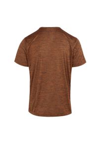 Regatta - T-shirt Męski Melanżowy Fingal Edition. Kolor: żółty, pomarańczowy, wielokolorowy. Wzór: melanż