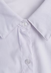 Renee - Biała Gładka Koszula Zapinana na Guziki Hejora. Okazja: na co dzień, na randkę. Kolor: biały. Materiał: tkanina, satyna, wiskoza, jeans. Wzór: gładki. Styl: casual #7