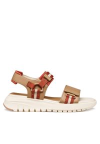 Sandały Geox. Kolor: brązowy #1
