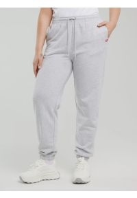 Big-Star - Spodnie damskie dresowe szare Yeva 901. Kolor: szary. Materiał: dresówka #8