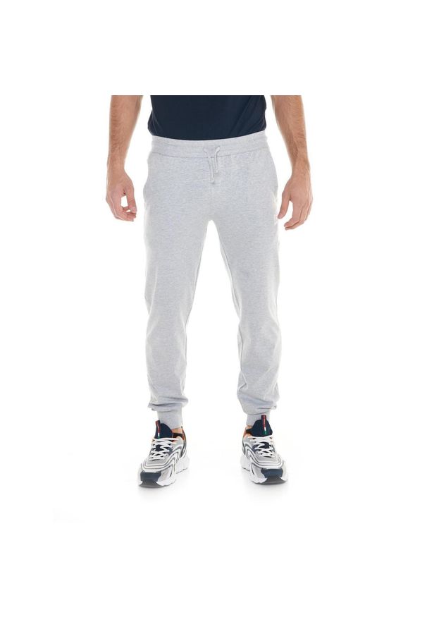 LEONE 1947 APPAREL - Męskie spodnie sportowe z małym logo. Kolor: szary. Materiał: tkanina. Sport: fitness