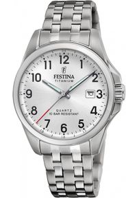 Zegarek męski Festina F20696-1 srebrny. Kolor: srebrny #1