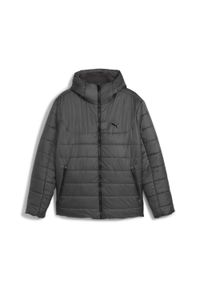 Puma - Męska kurtka wyściełana Essentials z kapturem PUMA. Typ kołnierza: kaptur. Kolor: szary. Materiał: puch. Sport: turystyka piesza #1