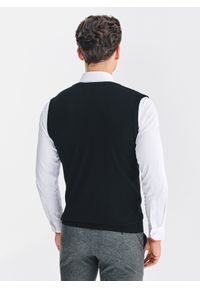 Pako Lorente - PAKO LORENTE - Bezrękawnik z dekoltem w serek. Okazja: na co dzień. Typ kołnierza: dekolt w serek. Materiał: wełna. Długość rękawa: bez rękawów. Sezon: jesień. Styl: casual #4