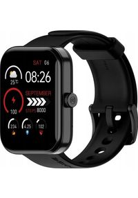 DT NO.1 - ML Smartwatch Noise Pulse 2 Max (Czarny). Rodzaj zegarka: smartwatch. Kolor: czarny