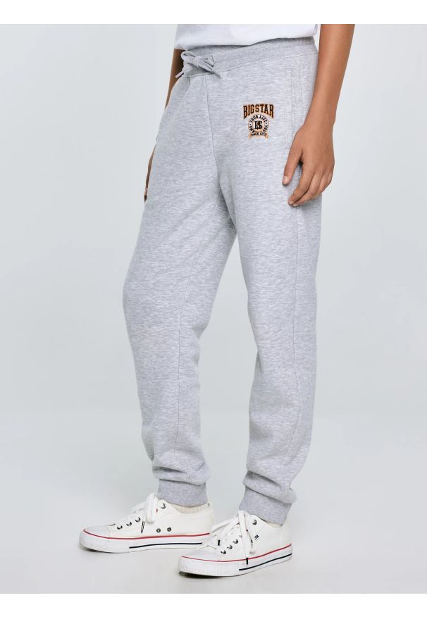 Big-Star - Spodnie chłopięce dresowe szare Lironp 901. Okazja: na co dzień. Kolor: szary. Materiał: dresówka. Wzór: haft. Styl: elegancki, casual, klasyczny, sportowy
