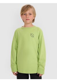 4f - 4F Longlseeve regular z nadrukiem chłopięcy - zielony 164 (13-14 lat). Okazja: na co dzień. Kolor: zielony. Materiał: tkanina, jersey, bawełna, materiał. Długość rękawa: długi rękaw. Długość: długie. Wzór: nadruk. Sezon: lato. Styl: casual, klasyczny, sportowy #1