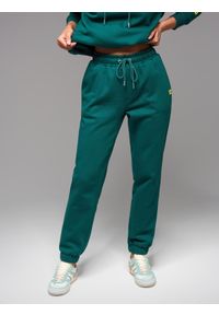 Ombre Clothing - Klasyczne dresowe spodnie unisex ze ściągaczami – ciemnozielone V17. Kolor: zielony. Materiał: dresówka. Wzór: aplikacja. Styl: klasyczny #11