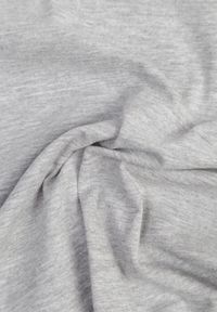 Renee - Jasnoszary T-shirt Ariema. Kolor: szary. Materiał: dzianina. Długość rękawa: krótki rękaw. Długość: krótkie. Wzór: gładki #3