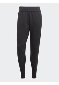 Adidas - adidas Spodnie dresowe IN5102 Czarny Regular Fit. Kolor: czarny. Materiał: bawełna