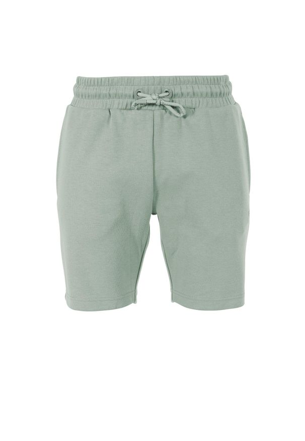 REECE - Szorty Reece Australia Studio. Kolor: zielony. Materiał: materiał. Sport: koszykówka, fitness