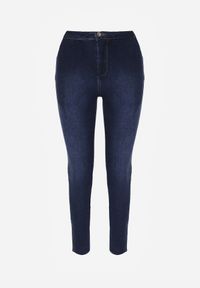 Renee - Niebieskie Jeansy Skinny z Postrzępionymi Krawędziami Janitha. Kolor: niebieski. Wzór: aplikacja #6