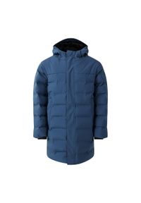 DARE 2B - Kurtka Dziecięca Wander Padded Jacket. Kolor: szary, niebieski, wielokolorowy. Materiał: puch. Styl: sportowy #1