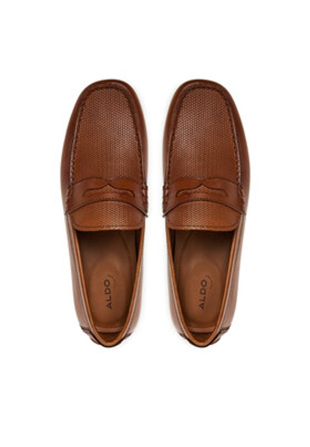 Aldo Mokasyny Puerto-in 13962596 Brązowy. Kolor: brązowy. Materiał: skóra