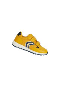 Sneakersy dziewczęce Geox Alben. Okazja: na co dzień. Kolor: niebieski, żółty, wielokolorowy. Sport: turystyka piesza, bieganie