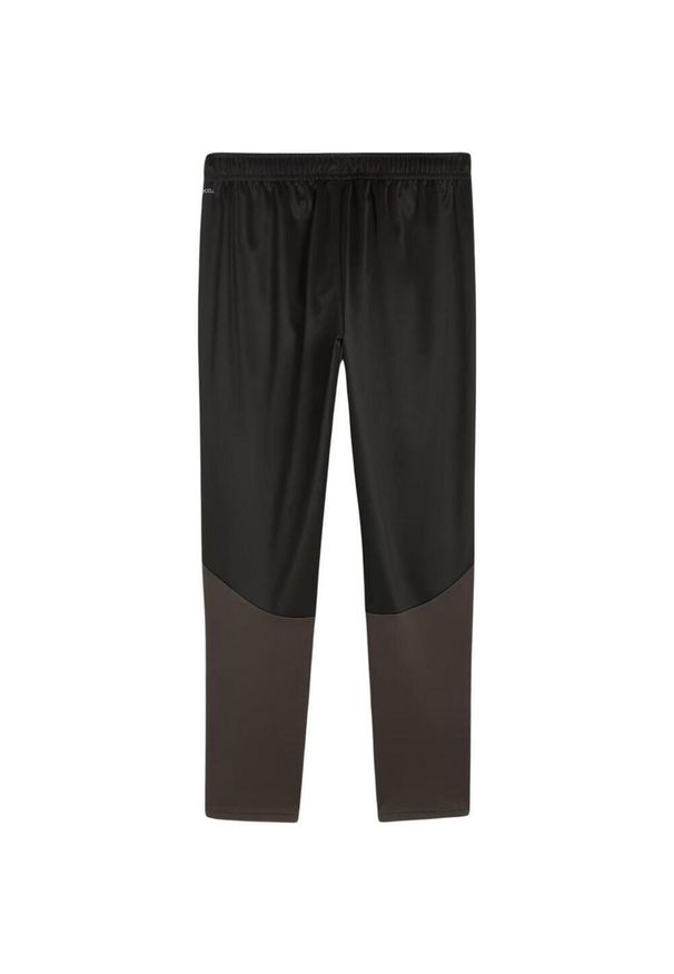 Puma - Męskie Treningowe Spodnie Do Biegania Team Goal. Kolor: czarny. Materiał: dresówka