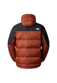 Kurtka zimowa męska The North Face DIABLO DWN Z. Kolor: brązowy, czarny, wielokolorowy. Sezon: zima