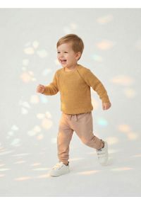 Sinsay - Spodnie 2 pack - zielony. Kolor: zielony #1