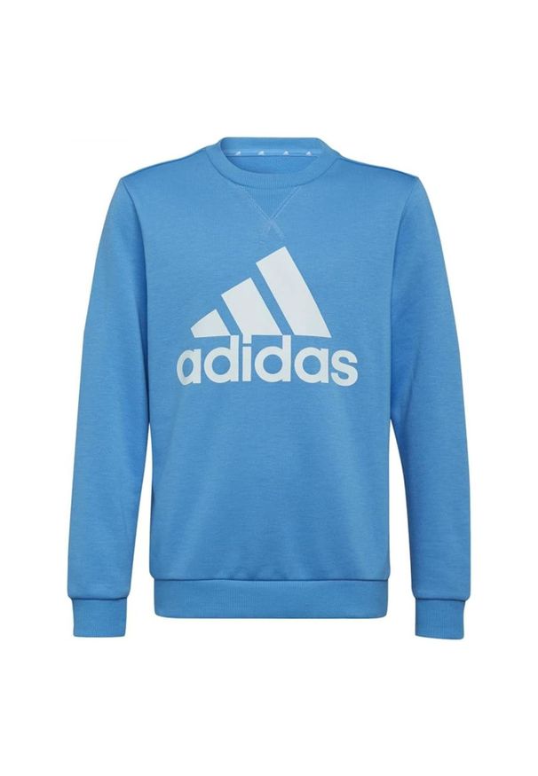 Bluza turystyczna dla dzieci Adidas Bl Swt. Kolor: niebieski. Materiał: poliester. Sport: turystyka piesza