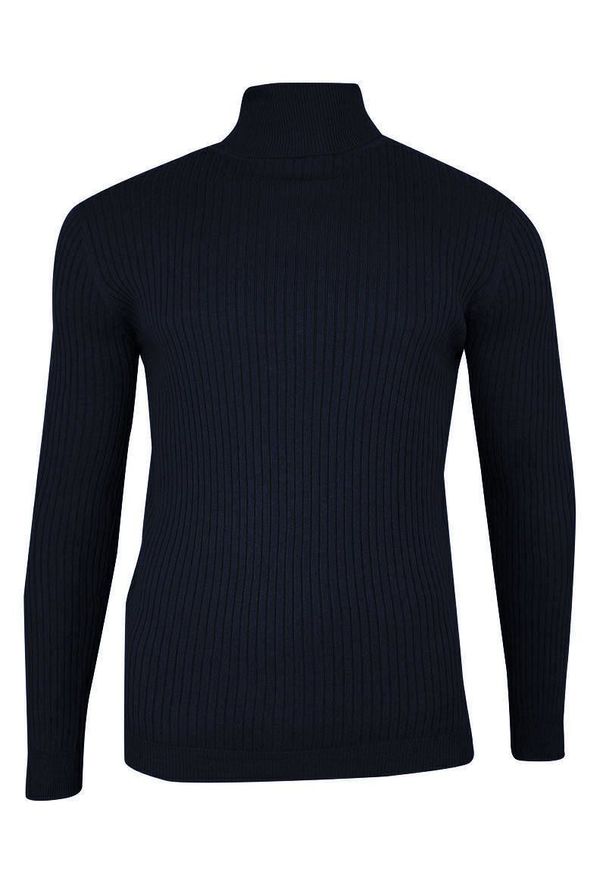 Niebieski sweter Brave Soul na zimę, z golfem, elegancki