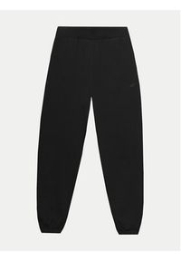 4f - 4F Spodnie dresowe 4FWSS24TTROF666 Czarny Regular Fit. Kolor: czarny. Materiał: bawełna