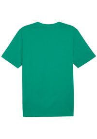 Koszulka męska Puma Team Rise Logo Jersey Cotton. Kolor: zielony, biały, wielokolorowy. Materiał: jersey. Sport: fitness, piłka nożna