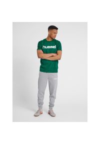 Koszulka sportowa z krótkim rękawem męska Hummel Cotton Logo. Kolor: biały, wielokolorowy, zielony. Długość rękawa: krótki rękaw. Długość: krótkie