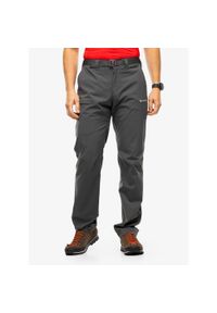 Spodnie trekkingowe męskie Montane Terra Lite Pants. Kolor: szary. Sezon: lato. Sport: turystyka piesza #1