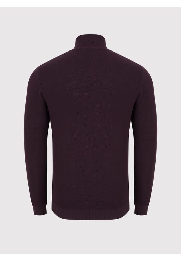 Pako Lorente - PAKO LORENTE – Bordowy sweter z wysoką stójką zapinaną na zamek. Typ kołnierza: kołnierzyk stójkowy. Kolor: czerwony, szary. Materiał: bawełna. Sezon: zima, jesień