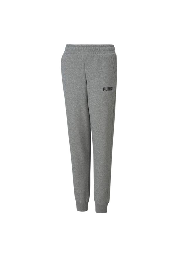 Puma Spodnie Ess 84762802. Kolor: szary
