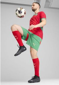 Puma - Męskie szorty Maroko 2025 PUMA Archive Green Red. Kolor: czerwony, wielokolorowy, zielony