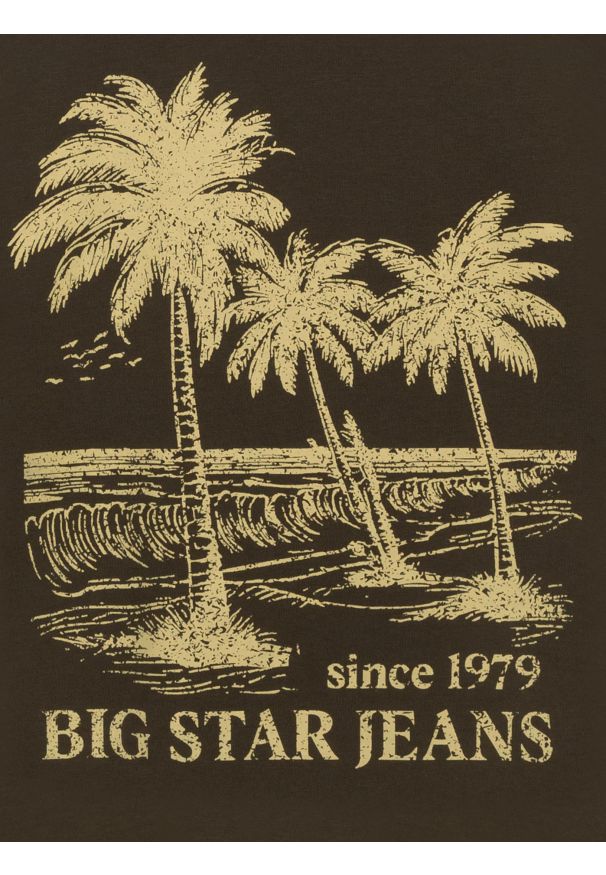 Big-Star - Koszulka męska z kontrastowym nadrukiem khaki Omer 303. Kolor: zielony. Materiał: materiał, bawełna, skóra, dzianina. Wzór: nadruk. Styl: militarny, elegancki, klasyczny, vintage