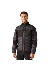 Regatta - Męska Kurtka EVolve Hybrid Stretch Jacket. Kolor: fioletowy, szary, wielokolorowy, czarny