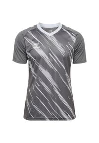 Koszulka Hummel Triumph. Kolor: szary. Sport: piłka nożna #1
