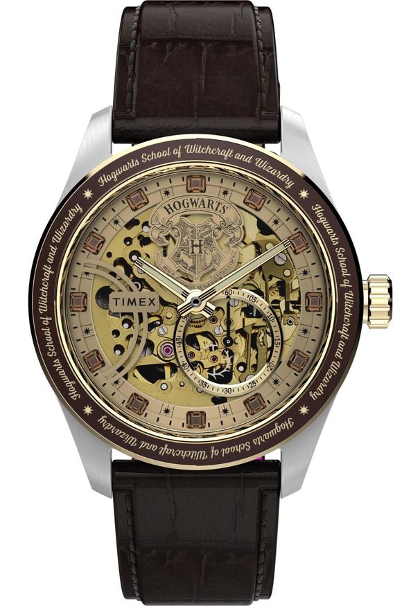 Zegarek Timex Zegarek męski Timex TW2Y75500 brązowy. Kolor: brązowy