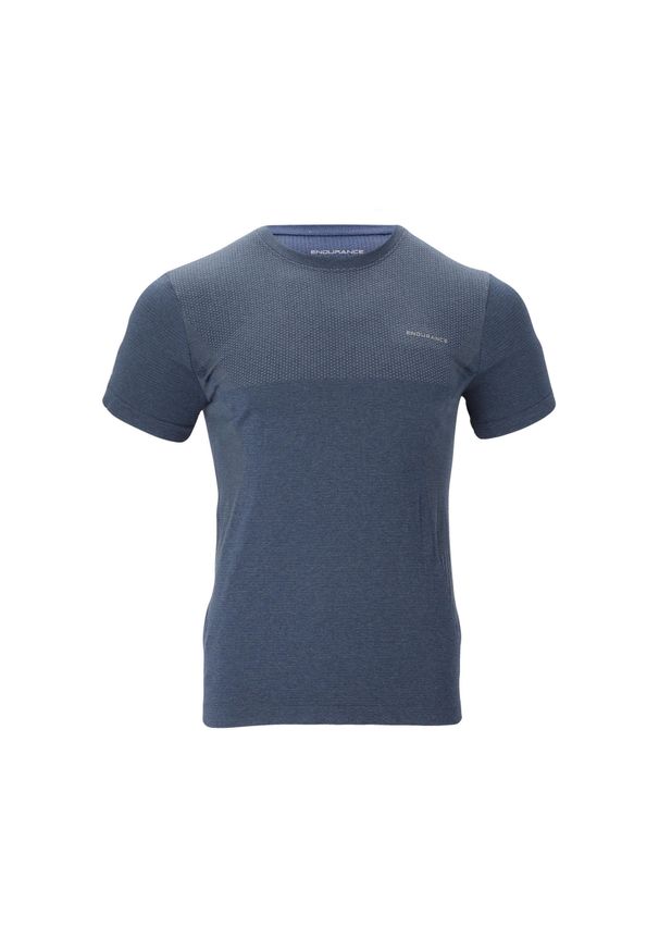 ENDURANCE - Koszulka treningowa męska Endurance Jaro Melange Seamless S/S. Kolor: szary, niebieski, wielokolorowy. Sport: fitness