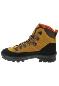 Buty trekkingowe Olang NEPAL TEX. Kolor: wielokolorowy, żółty, brązowy. Styl: sportowy. Sport: turystyka piesza
