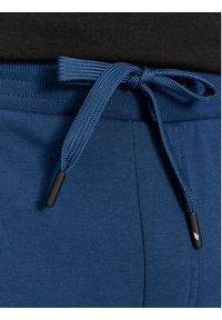 4f - 4F Spodnie dresowe 4FAW23TTROM452 Niebieski Regular Fit. Kolor: niebieski. Materiał: bawełna