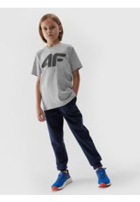 4f - T-shirt z nadrukiem chłopięcy. Kolor: szary. Materiał: bawełna, dzianina, wiskoza. Wzór: nadruk #2