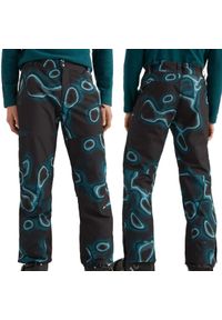 O'Neill - Spodnie zimowe na narty i snowboard męskie O'neill Hammered 10K. Kolor: wielokolorowy, czarny. Sezon: zima. Sport: narciarstwo, snowboard #1