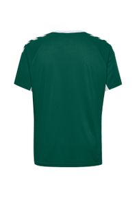 Koszulka sportowa z krótkim rękawem dla dzieci Hummel Core Kids Team Jersey S/S. Kolor: zielony, biały, wielokolorowy. Materiał: jersey. Długość rękawa: krótki rękaw. Długość: krótkie