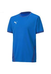 Koszulka dla dzieci Puma teamGOAL 23 Jersey. Kolor: niebieski. Materiał: jersey #1
