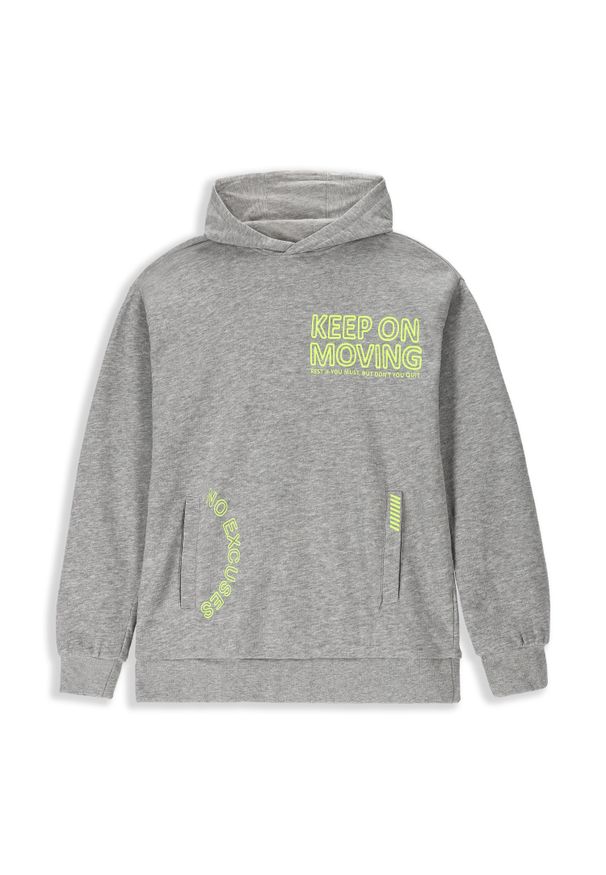 Lemon Explore - Bluza sportowa dziecięcy Lemon Exlopre ZL3 z kapturem. Typ kołnierza: kaptur. Kolor: szary. Materiał: wiskoza, bawełna. Wzór: nadruk. Sport: turystyka piesza